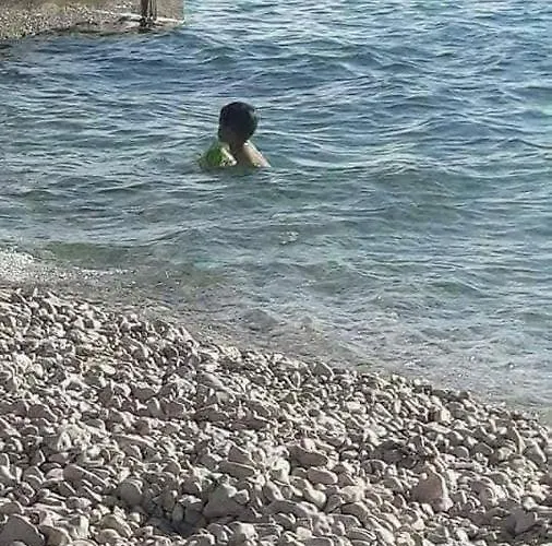 Apartman Sunlit Zadar Zára